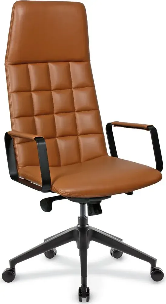 Silva Plastic-Legged Executive Chairs