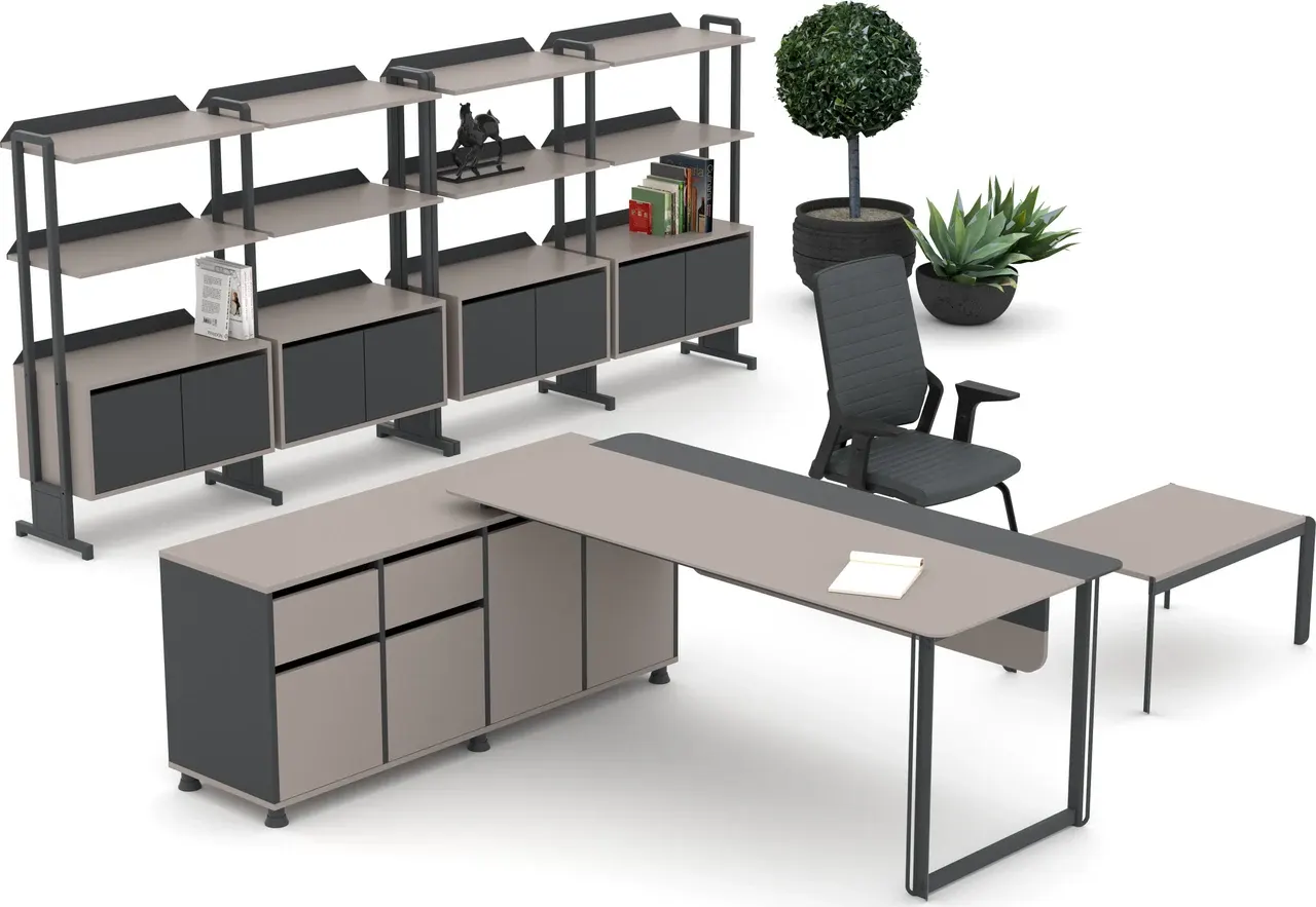 Zelve Workstation System
