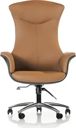 Palma Fotolii Executive