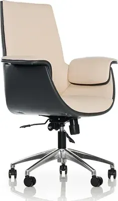 Navada Fotolii Executive