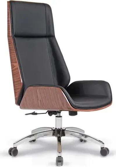 Slim Fotolii Executive