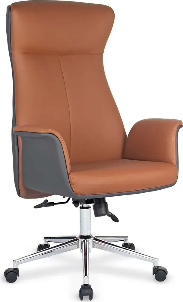 Toledo Fotolii Executive