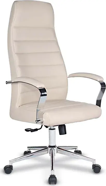 Frigya Fotolii Executive
