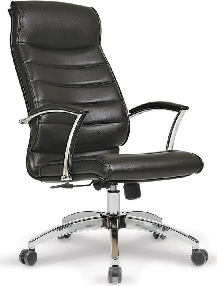 Pithana Fotolii Executive
