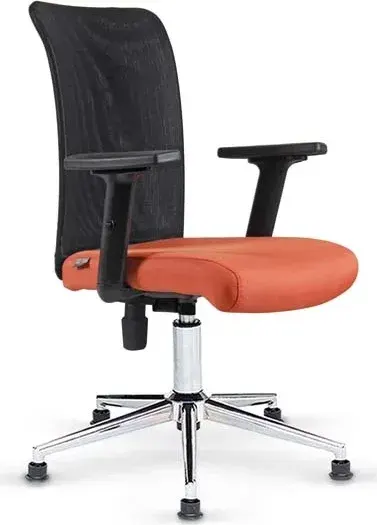 File Fileli Koltuk