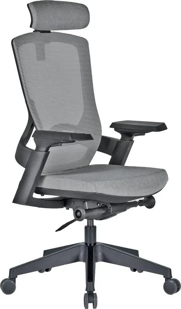 Mamba Plastic-Arm Plastic-Base Mesh Chairs
