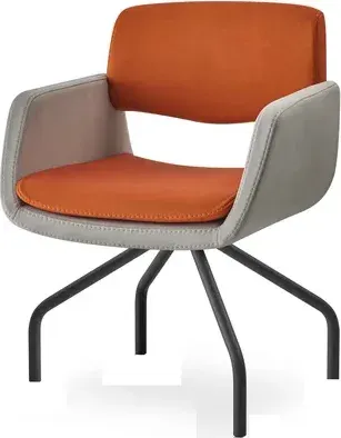 Scaun de Birou RS 5050-S