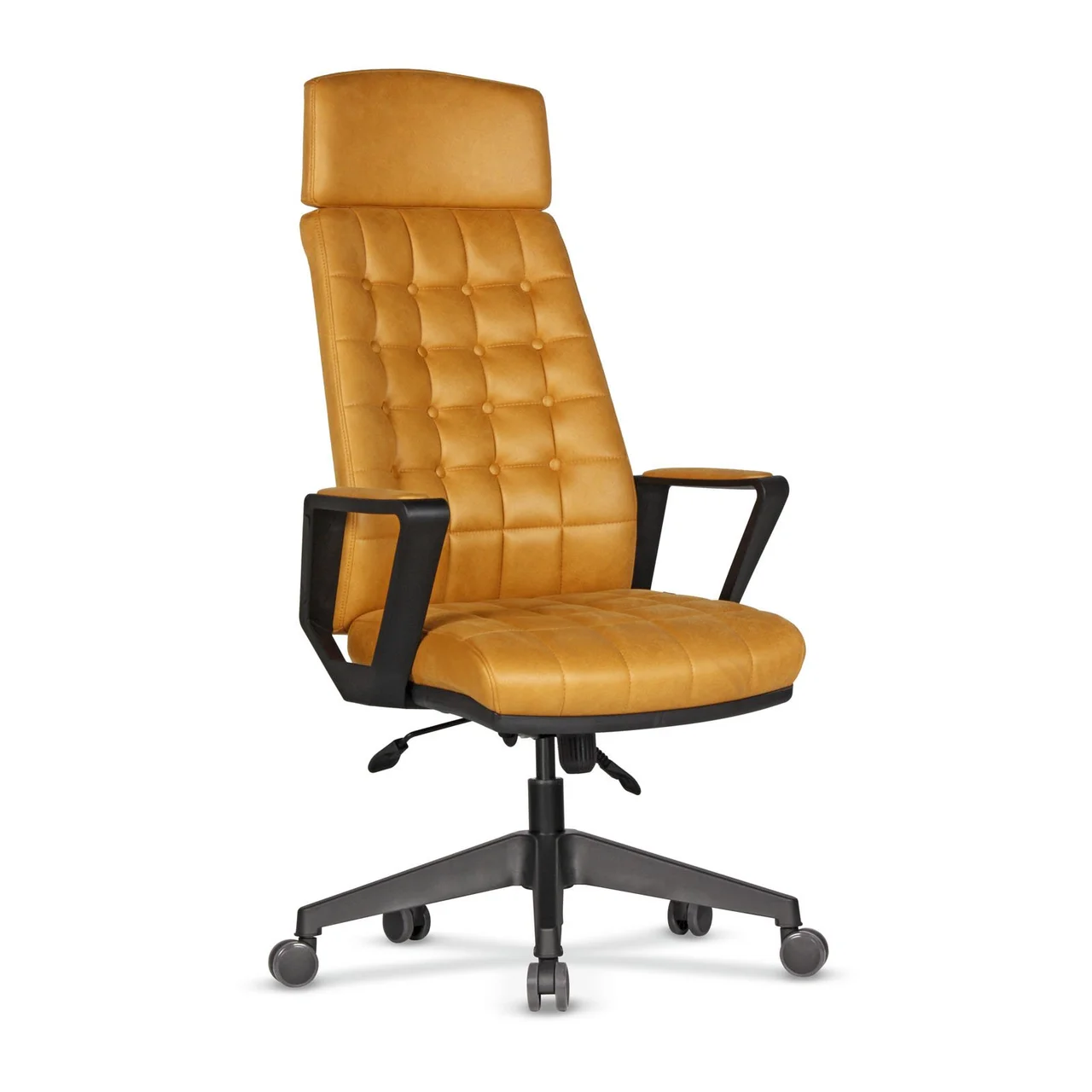 Fotolii Executive Viva Plus