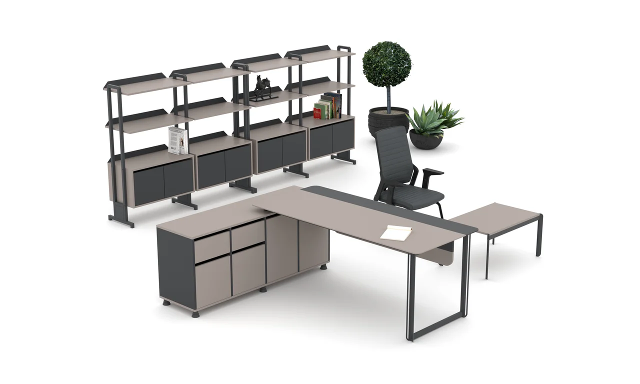 Zelve Workstation System