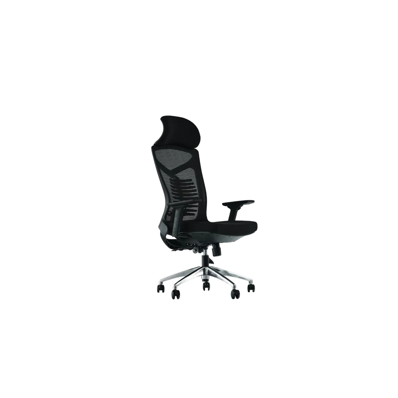 Ferra Scaun Executive
