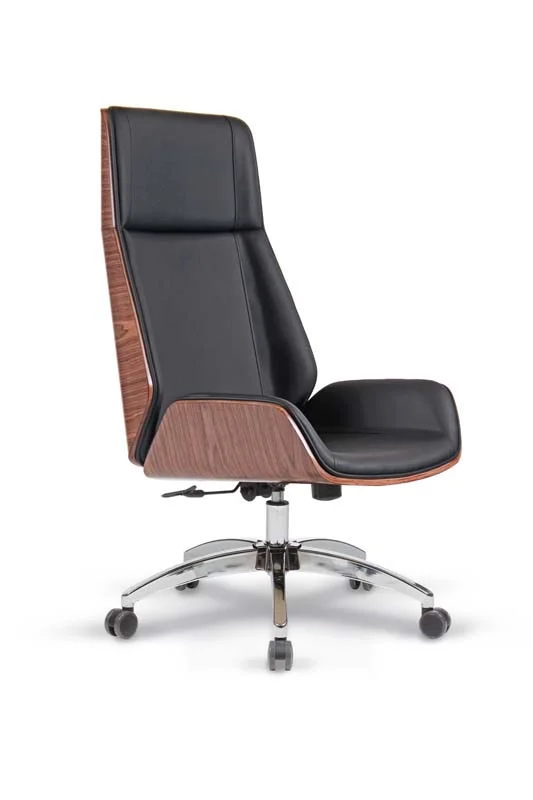 Slim Fotolii Executive