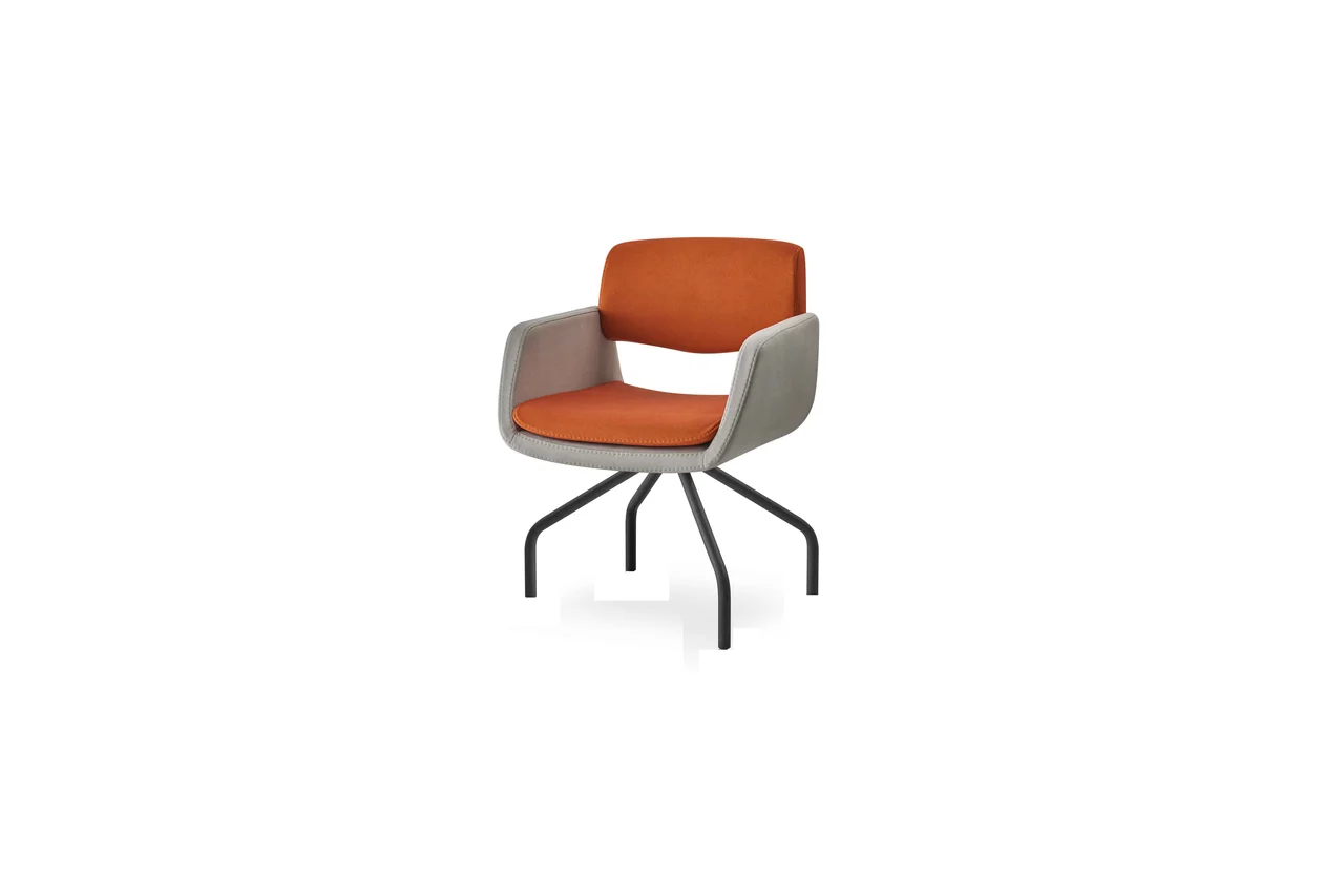 Scaun de Birou RS 5050-S